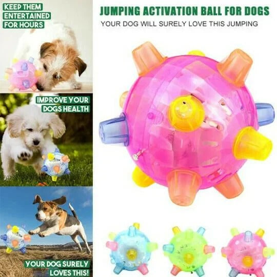 Viggo™ - Touch-Activated Play For Energetic Dogs