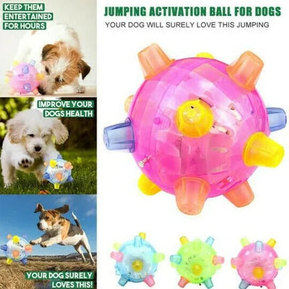 Viggo™ - Touch-Activated Play For Energetic Dogs