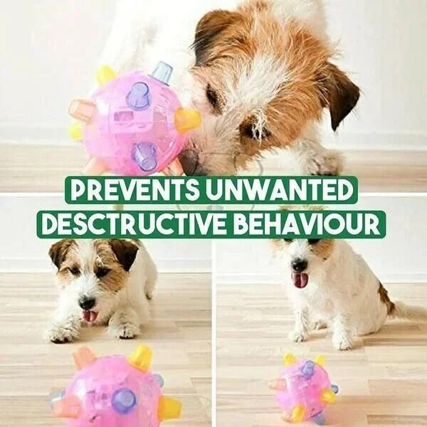 Viggo™ - Touch-Activated Play For Energetic Dogs