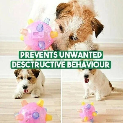 Viggo™ - Touch-Activated Play For Energetic Dogs
