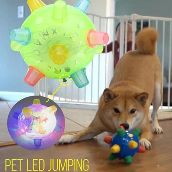 Viggo™ - Touch-Activated Play For Energetic Dogs