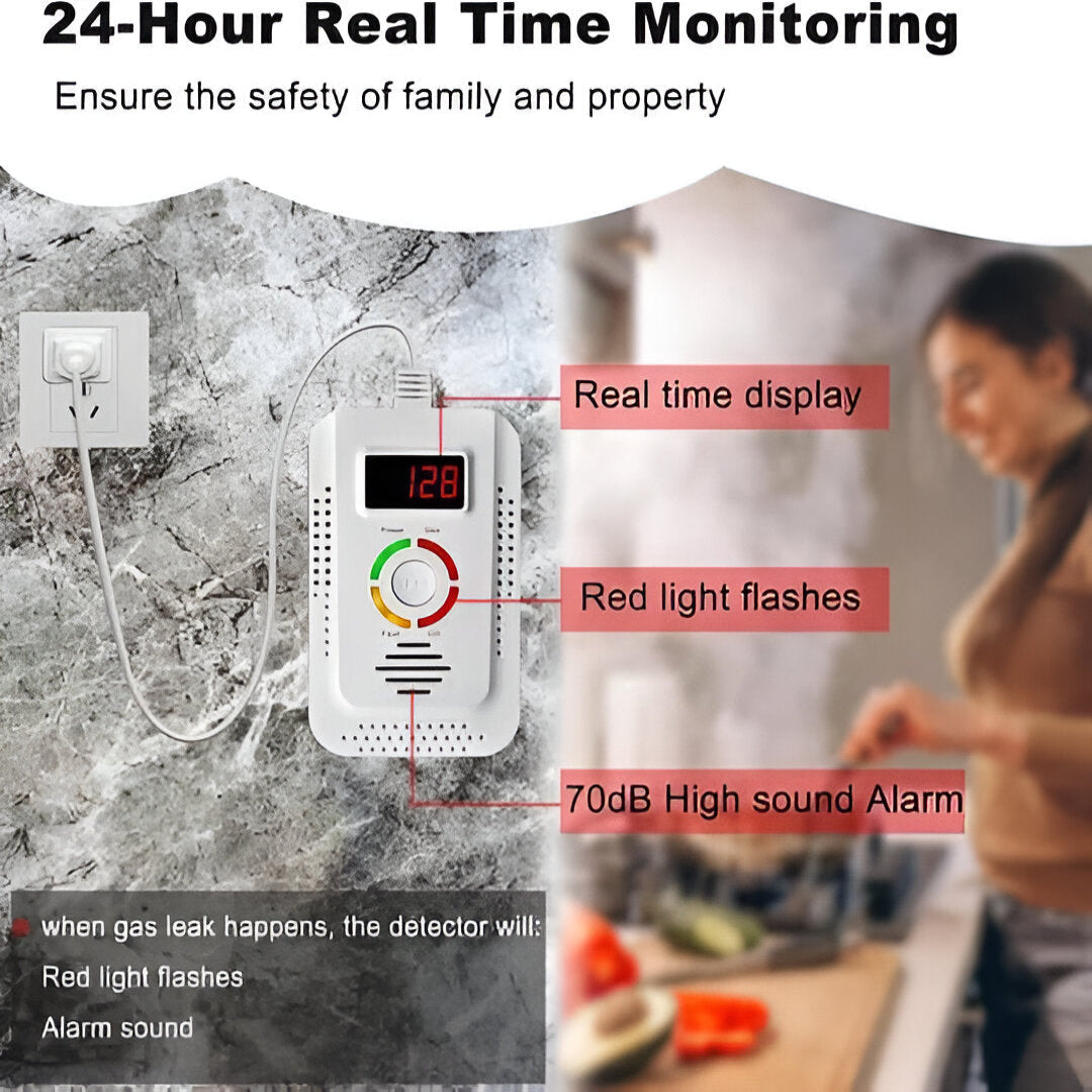 Auralis™ - Continuous Indoor Gas and CO Monitoring