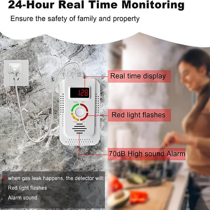 Auralis™ - Continuous Indoor Gas and CO Monitoring