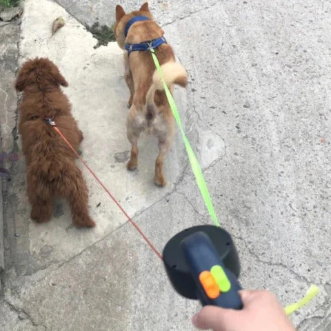 Tandem™ - Tangle-Free Night Walks with Smooth Control