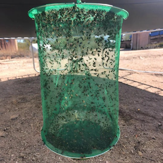 Vireo™ - Discreet Outdoor Fly Capture Solution