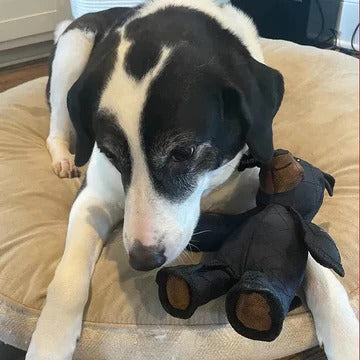 Viggo™ - Built for Tough Chewers and Extended Play