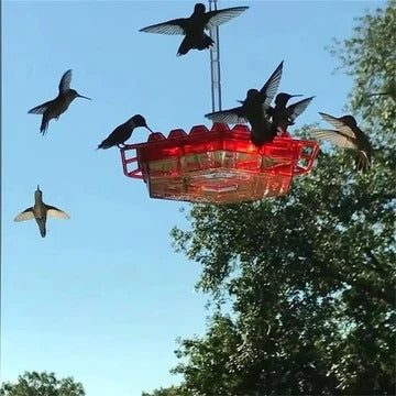 Nectra™ - Elegant Multi-Bird Feeder For Outdoor Spaces