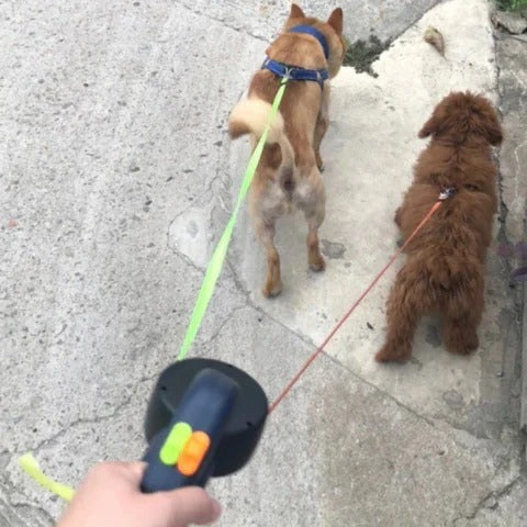 LumeWalk™ - Smooth, Tangle-Free Dual Leash Walks