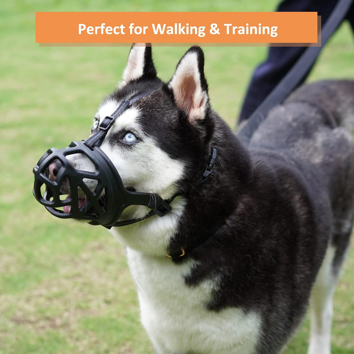 Vantrel™ - Secure Fit For Reactive Dogs During Outings