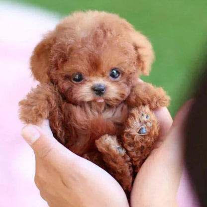 Pawlet™ - Lifelike Interactive Companion for Play