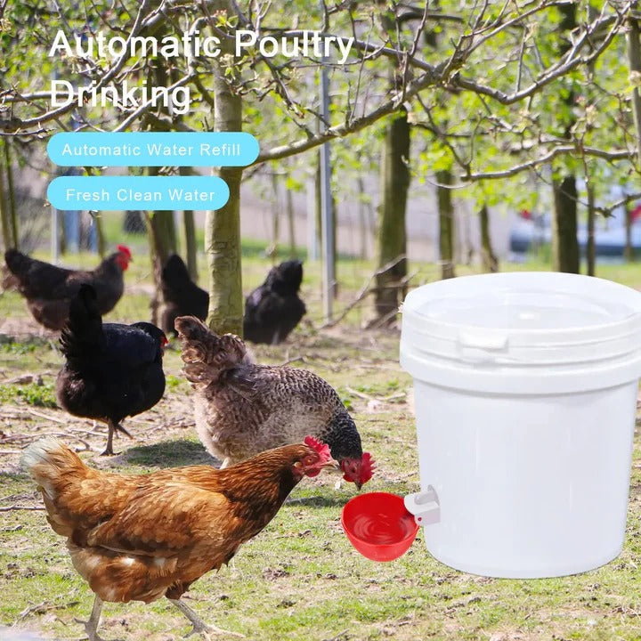 Averi™ - Effortless Coop Hydration for Active Flocks