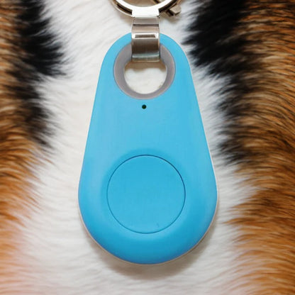 Trailr™ - Lightweight Collar Tracker for Nearby Pets
