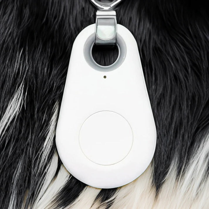 Trailr™ - Lightweight Collar Tracker for Nearby Pets