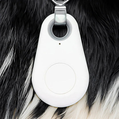 Trailr™ - Lightweight Collar Tracker for Nearby Pets