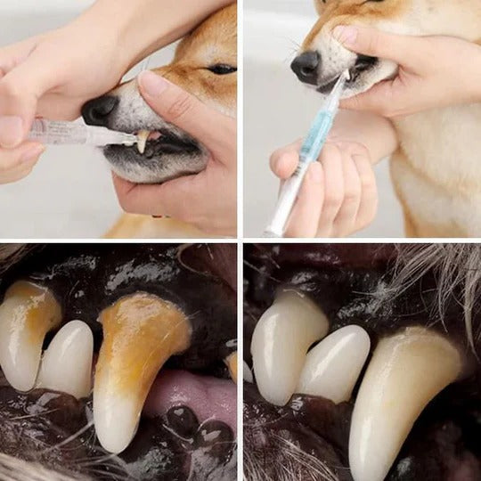 Dentri™ - Gentle Daily Oral Care for Pets