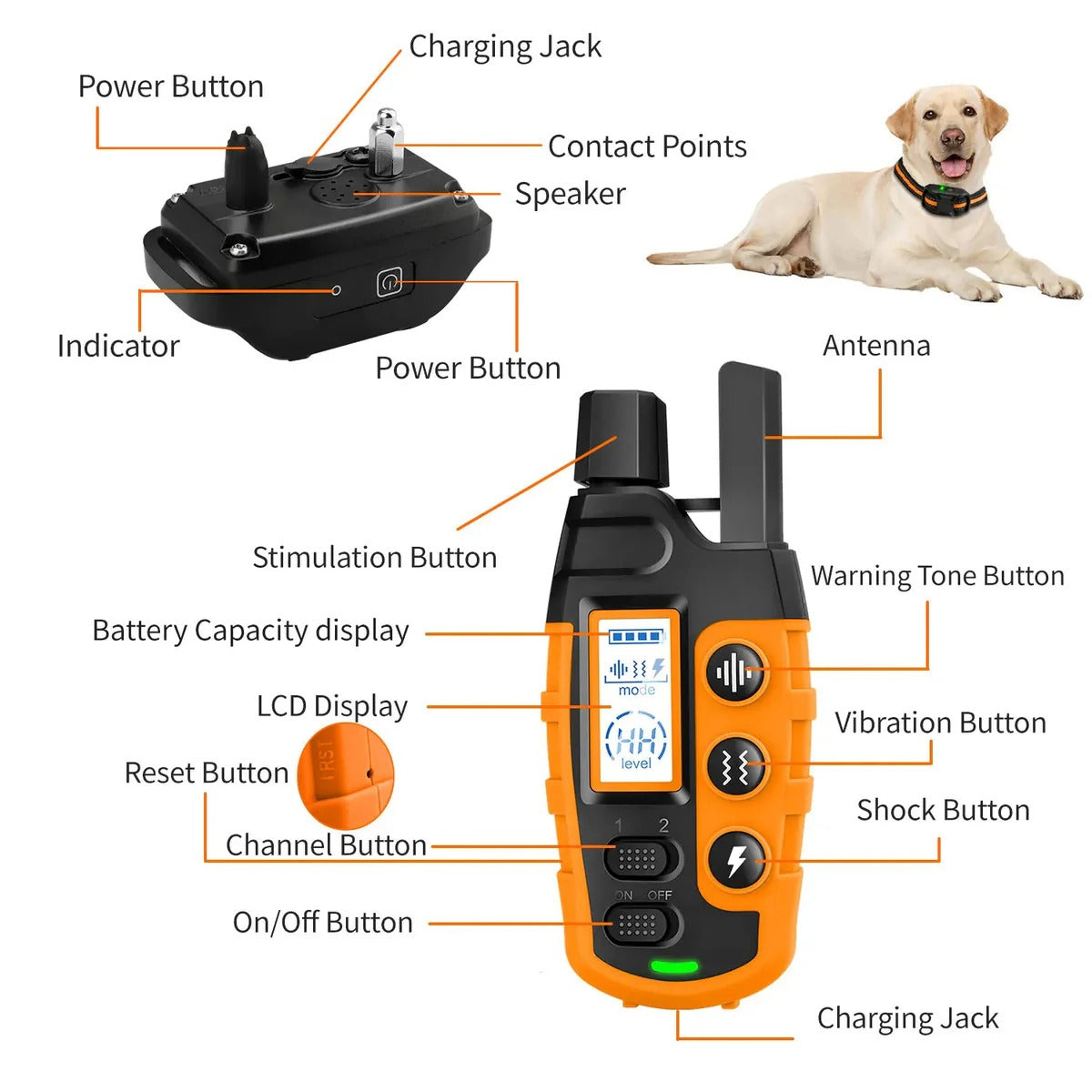 Aquadex™ - Calm Remote Recall and On-Field Control