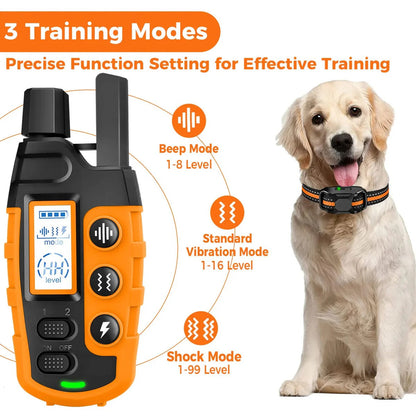 Aquadex™ - Calm Remote Recall and On-Field Control