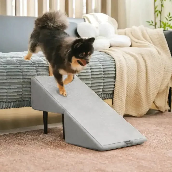 Pawlane™ - Gentle Access For Beds And Couches