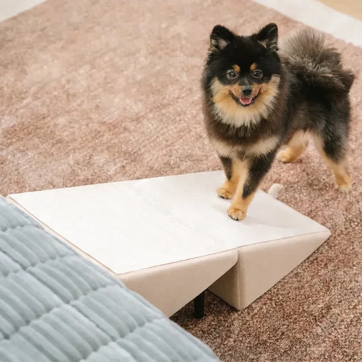 Pawlane™ - Gentle Access For Beds And Couches