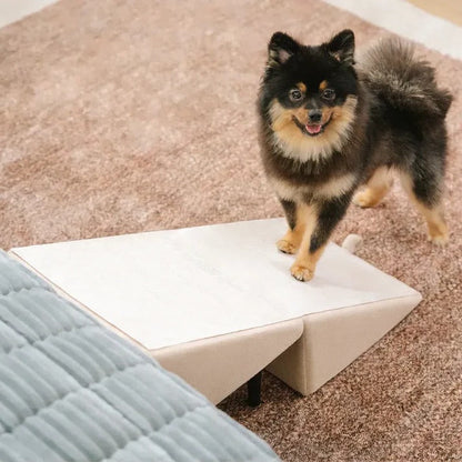 Pawlane™ - Gentle Access For Beds And Couches