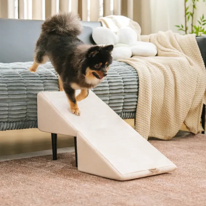 Pawlane™ - Gentle Access For Beds And Couches