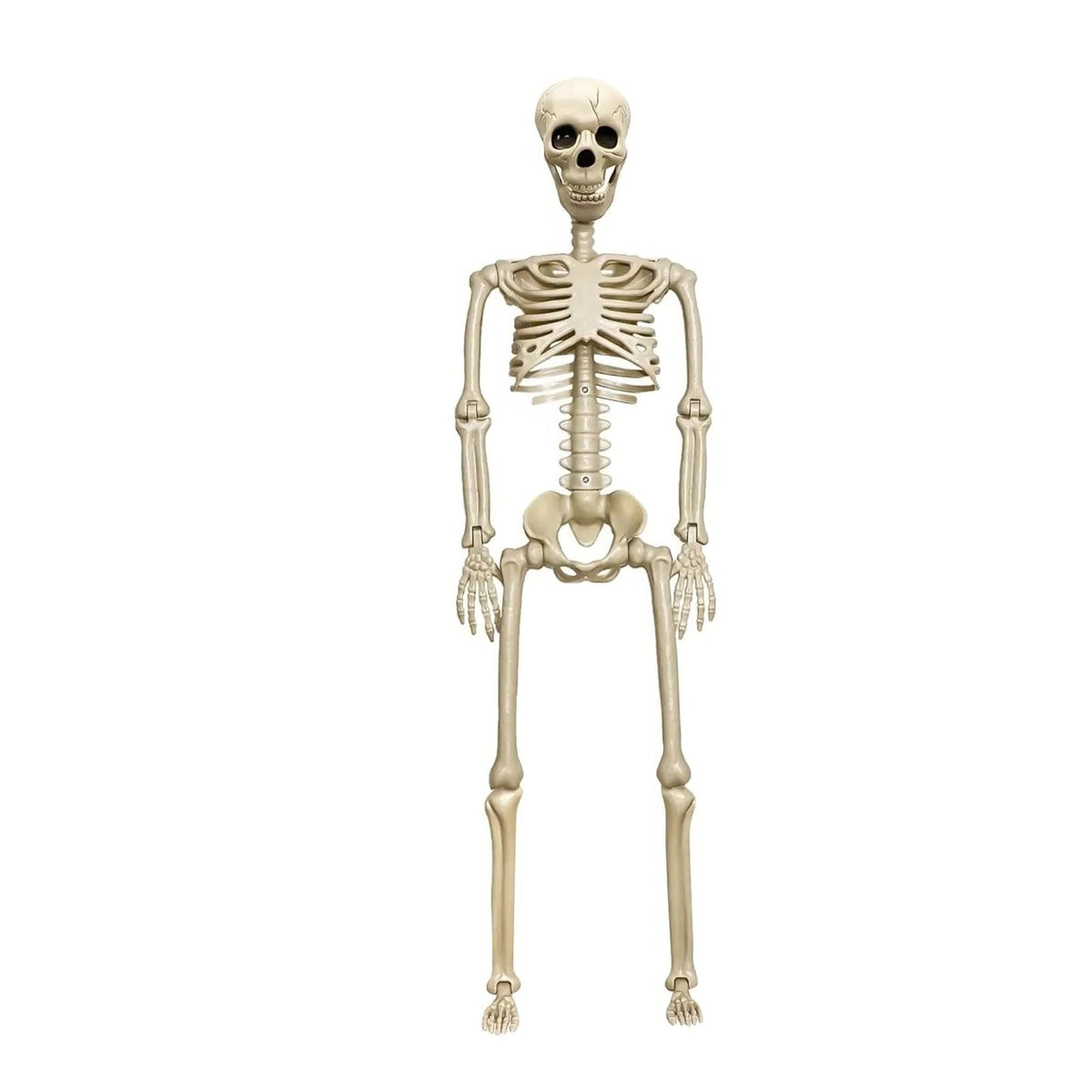 Grimor™ - Poseable 35.4-Inch Skeleton for Indoor or Outdoor