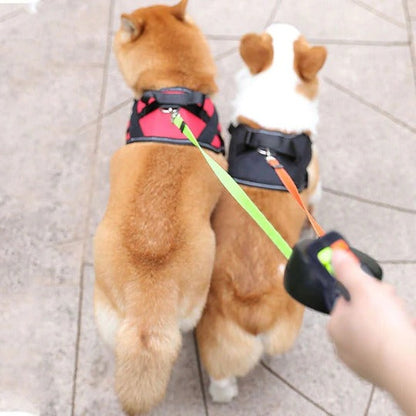 Vario™ - Walk Two Dogs Smoothly Without Tangles