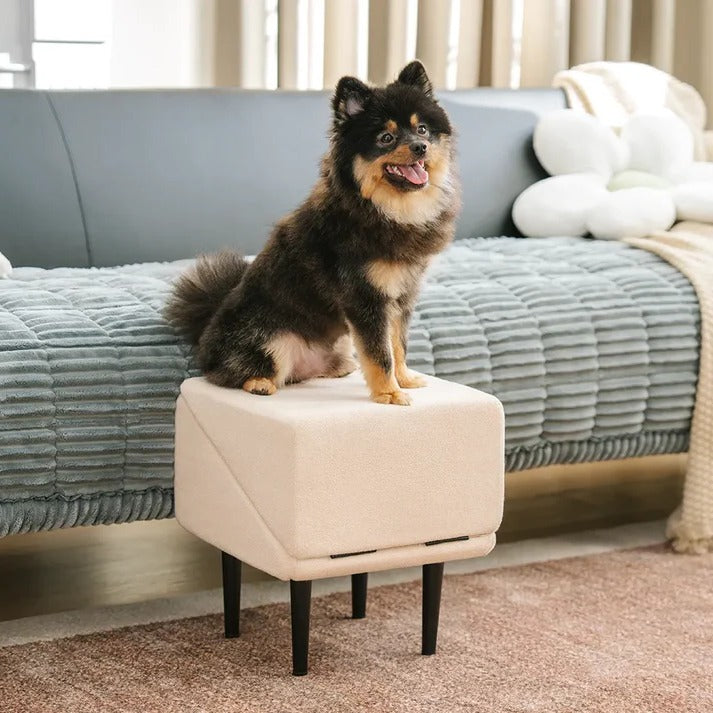 Pawlane™ - Gentle Access For Beds And Couches