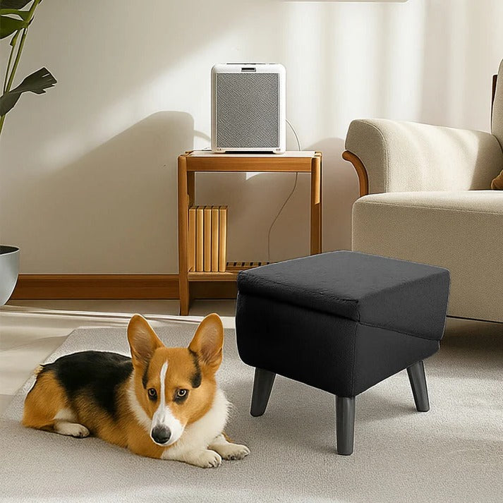 Pawlane™ - Gentle Access For Beds And Couches