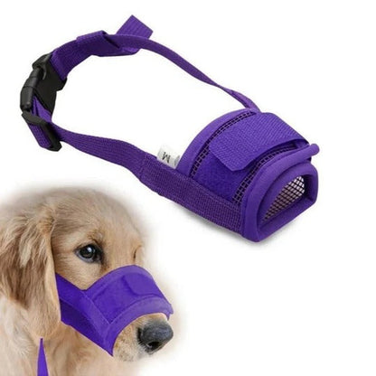 Canovo™ - Comfort-Fit Control For Everyday Walks