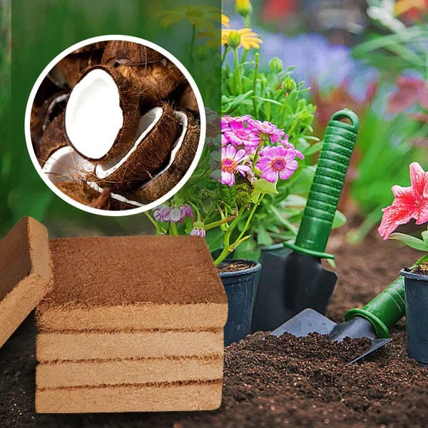 Vivaro™ - Compact Coconut Coir That Expands Easily