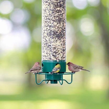 Aureo™ - Discreet Squirrel-Resistant Feeding for Wild Birds