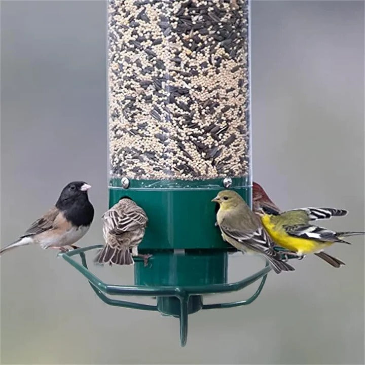 Aureo™ - Discreet Squirrel-Resistant Feeding for Wild Birds