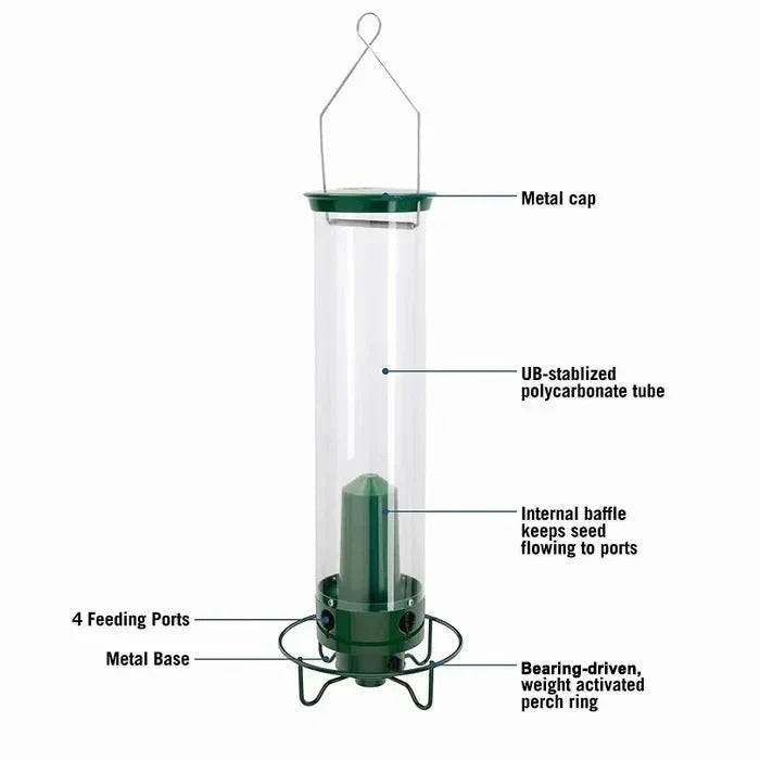 Aureo™ - Discreet Squirrel-Resistant Feeding for Wild Birds