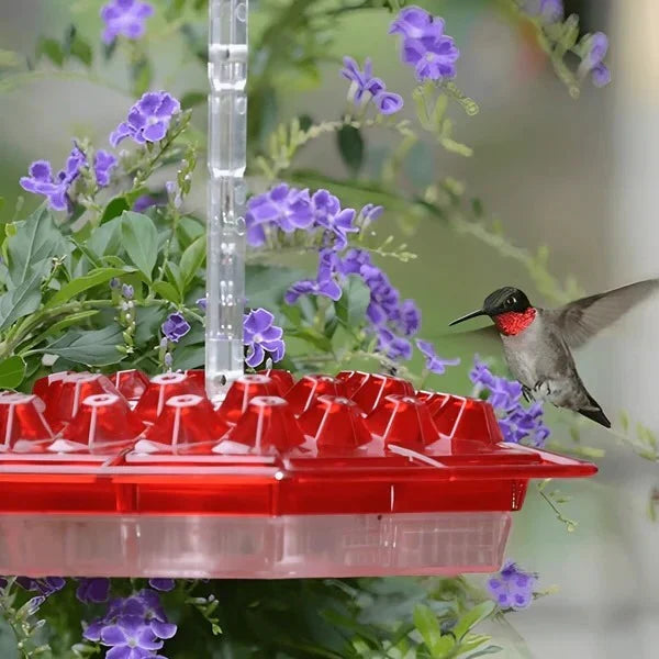 Nectara™ - Keeps Nectar Clean and Ant-Free