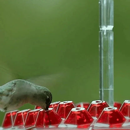 Nectara™ - Keeps Nectar Clean and Ant-Free