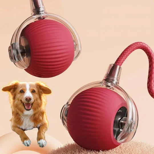 Kyneto™ - Encourages Independent Play and Daily Exercise