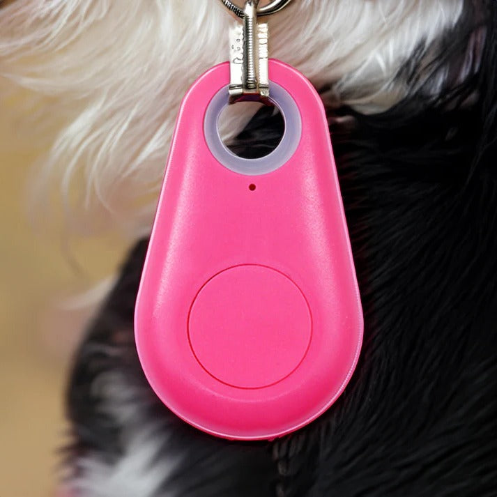 Trailr™ - Lightweight Collar Tracker for Nearby Pets