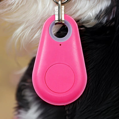 Trailr™ - Lightweight Collar Tracker for Nearby Pets