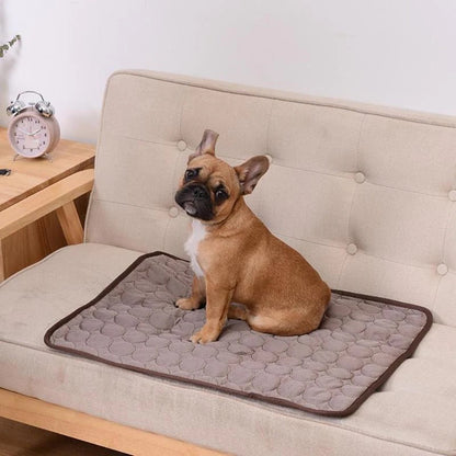 Aeris™ - Instant Contact Cooling For Resting Pets