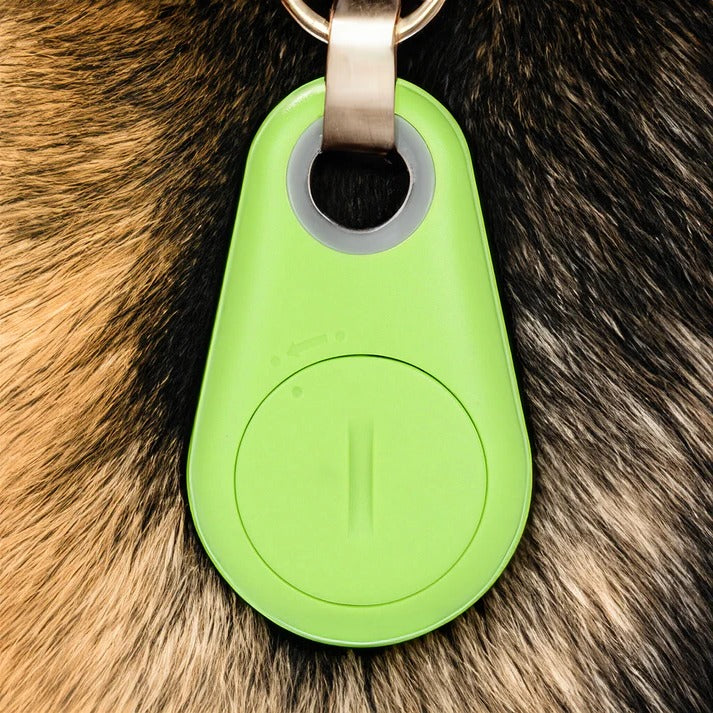 Trailr™ - Lightweight Collar Tracker for Nearby Pets
