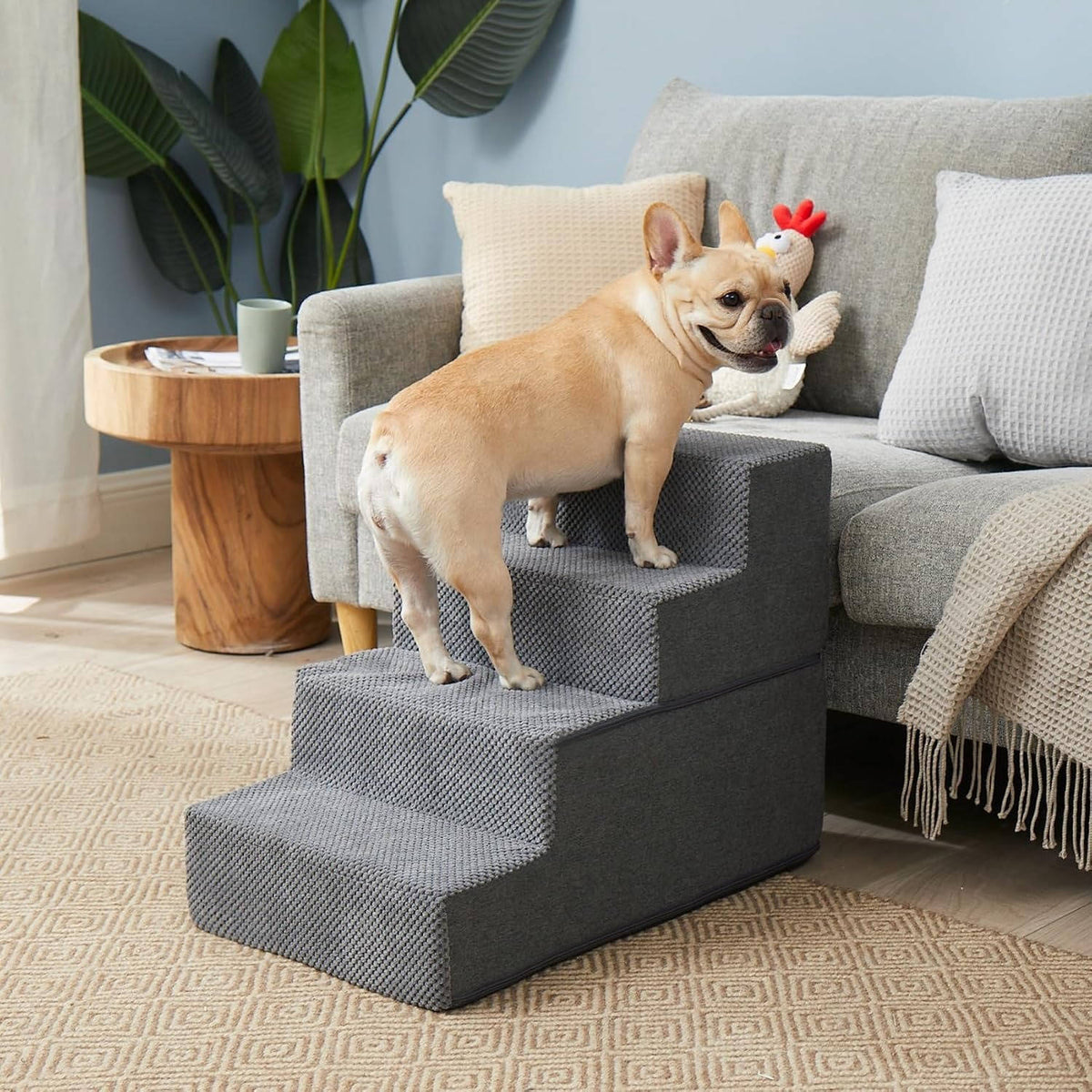 Pawrise™ - Gentle Steps To Bedside Comfort