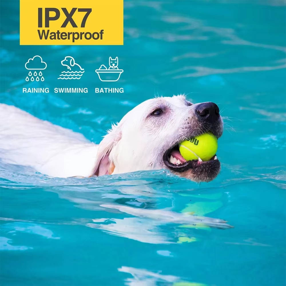 Kynex™ - Gentle Remote Training for Small Dogs
