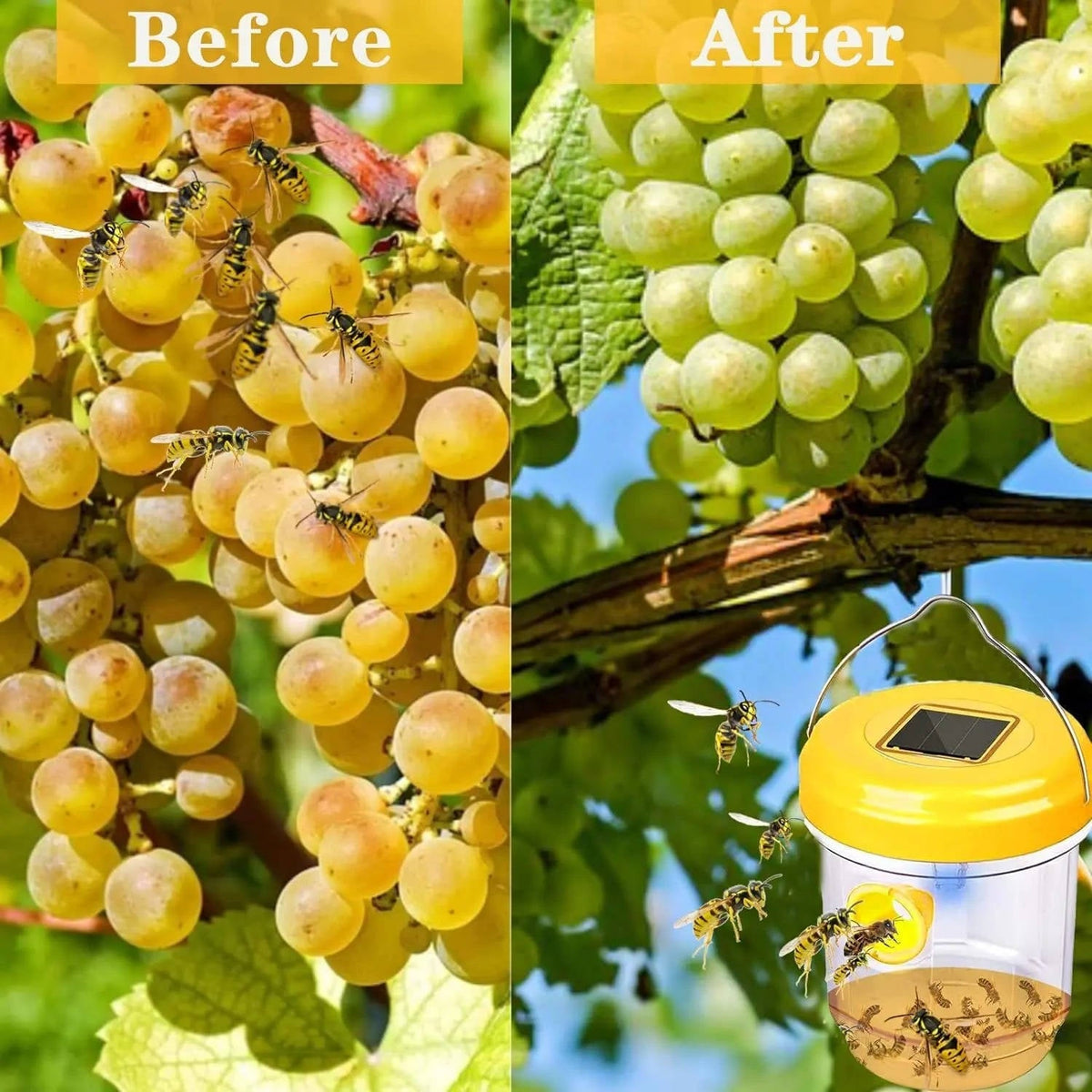 Vespera™ - Quiet Outdoor Trapping For Wasps and Bees