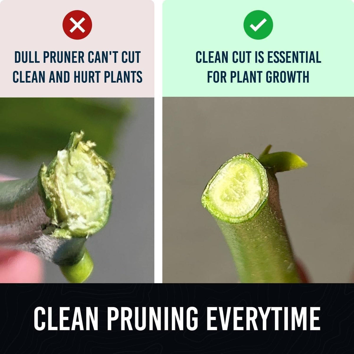 Arboro™ - Effortless Precision Pruning for Tired Hands