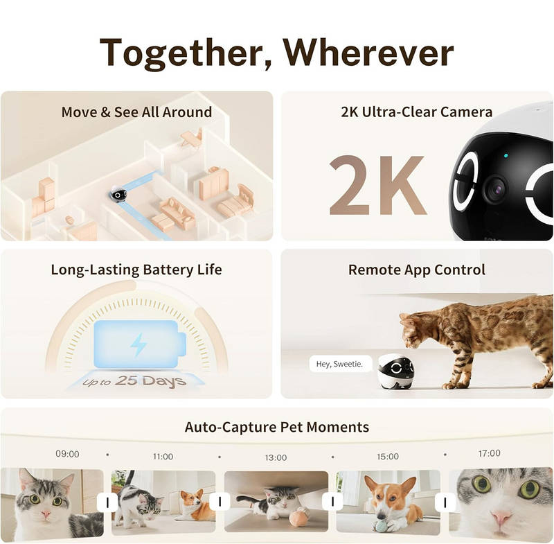 Rovero™ - Mobile Pet Monitor For Peaceful Check-Ins