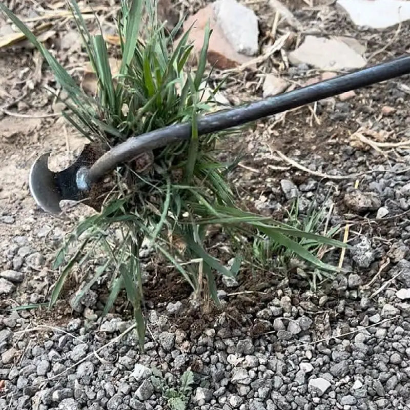 Verdan™ - Stand-Up Root Extraction With Minimal Bending