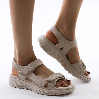 AMLORE RETAIL import 2026-09-09 horizontal mirror · SHA-256 572fead756d591cf7ced4af72e65f995d285b835e4fc6545fd704dbf4bb62d42