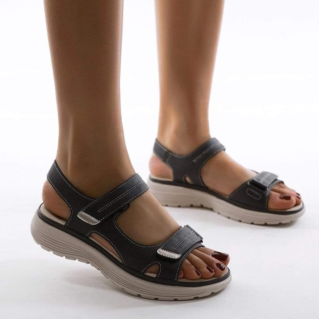 AMLORE RETAIL import 2026-09-09 horizontal mirror · SHA-256 24baafd21907cec1b54e02978b128832e4ec17878f4c0526403651d1090ee4f8