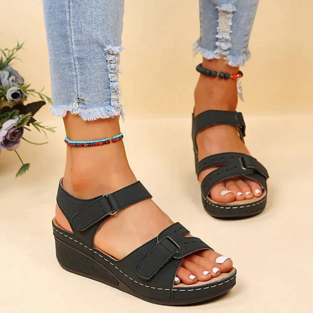 AMLORE RETAIL import 2026-09-09 horizontal mirror · SHA-256 d1e04f43b1036a81d6f210720bccbe962db5a9991c40577218589d2a66d06553
